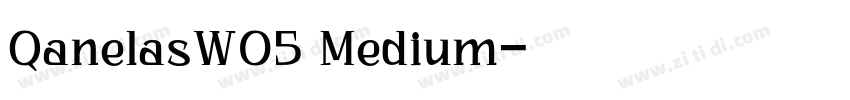 QanelasW05 Medium字体转换